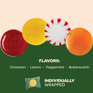 Sugar-Free Hard Candy Assortment | 1 Pound Pack  | Classic Flavors - Crazy Outlet Candy Store