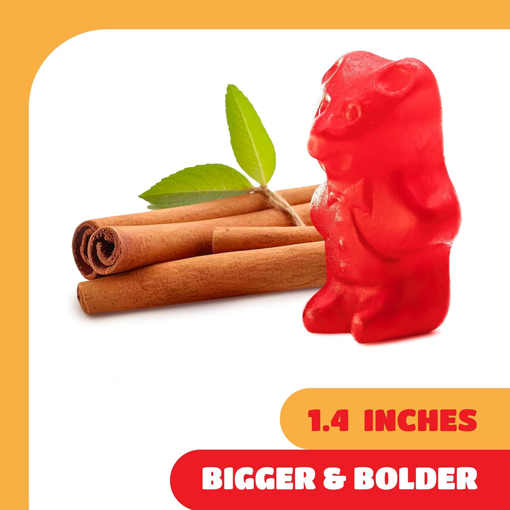 Juju Cinnamon Bears Gummy Candy | 1 Pound Bag | Old School Chewy Cinnamon Candy with Bold Heat - Crazy Outlet Candy Store