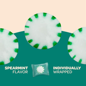Sugar-Free Starlight Mints | 1 Pound Pack | Spearmint Hard Candy