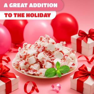 Salt Water Taffy Candy | 1 Pound | Soft Peppermint Candy | Old Fashioned Peppermint Taffy Individually Wrapped - Crazy Outlet Candy Store